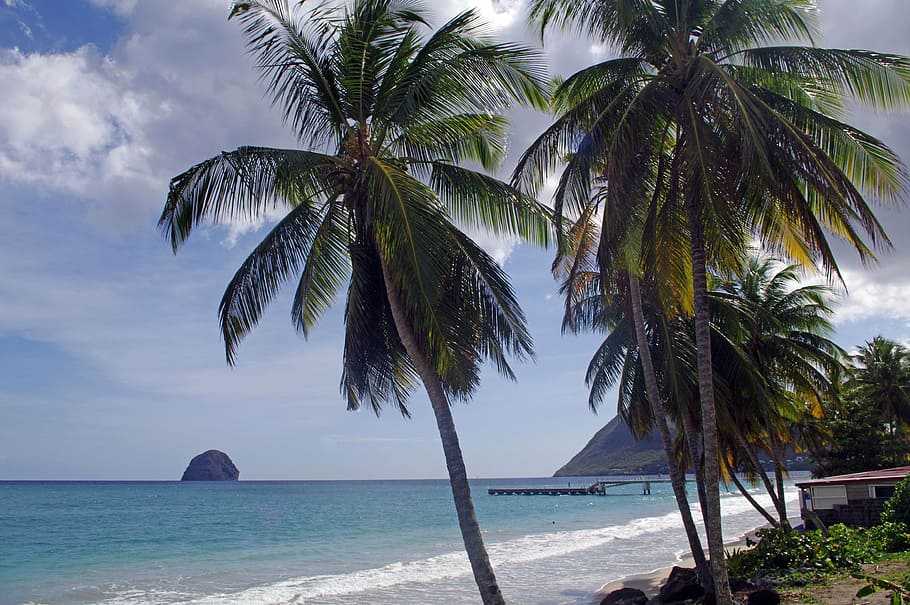 plage sud martinique